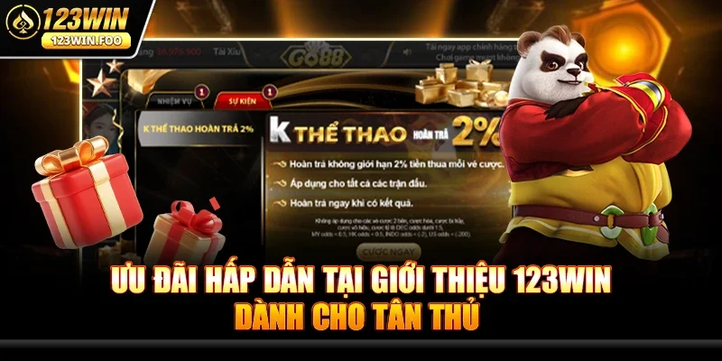Ưu đãi hấp dẫn tại Giới thiệu 123win dành cho tân thủ